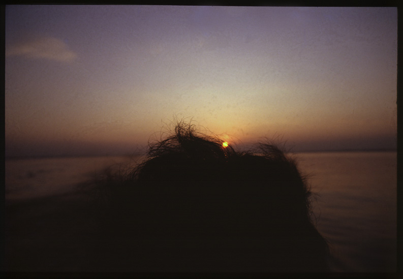 1哲学的黄昏，1986年安徽芜湖鲍昆